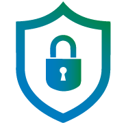 Network and Security Icon